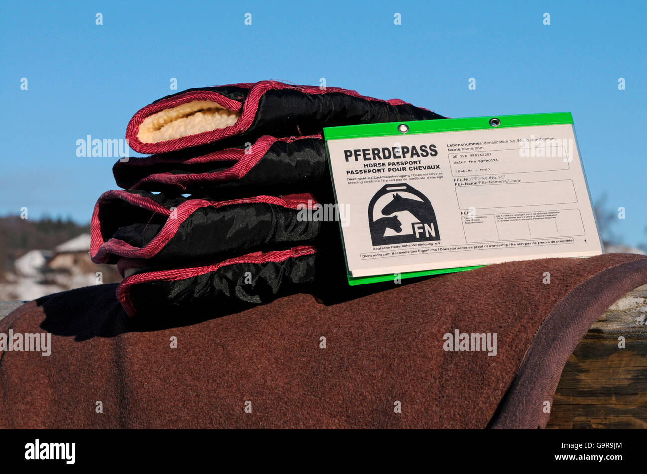 Shipping boots and Horse passport Stock Photo