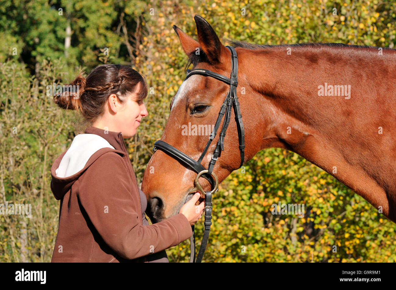 Pregnant woman with old Trakehner, 30 years old / German Warmblood Horse, tack, side Stock Photo