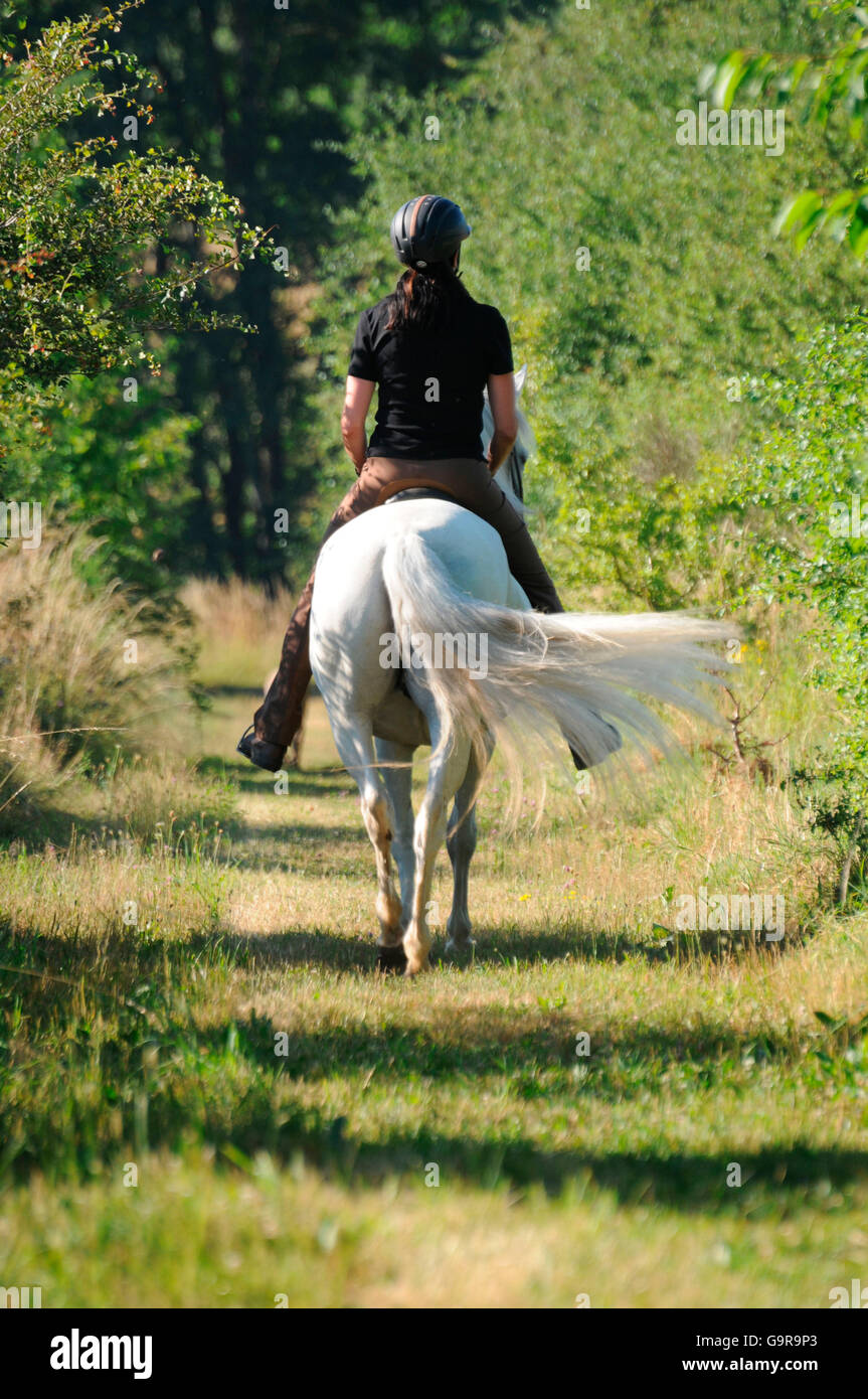 Trail riding, woman with Paso Fino, mare / riding helmet Stock Photo