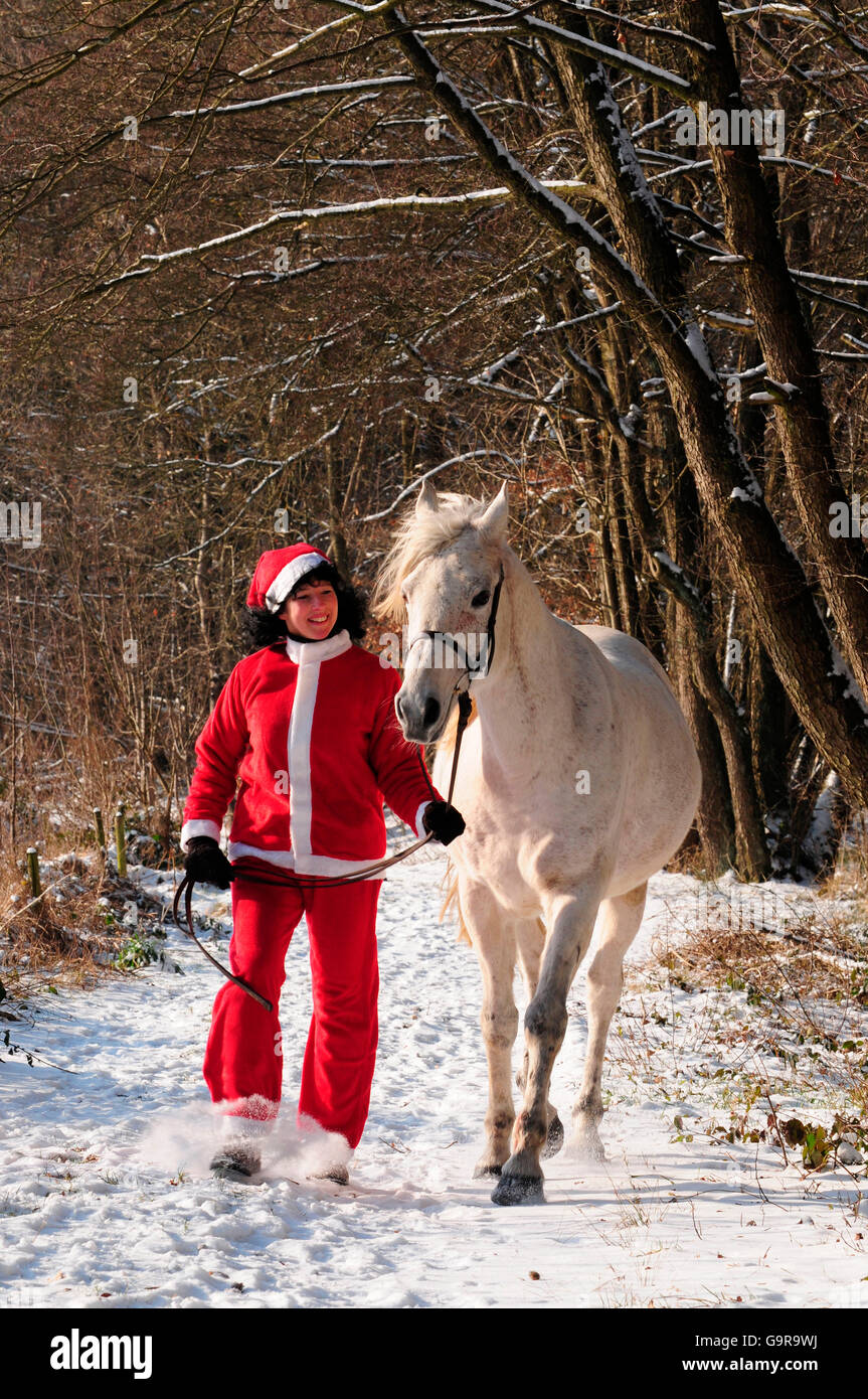 Woman leading Arabian Horse, gelding / Santa Claus suit Stock Photo