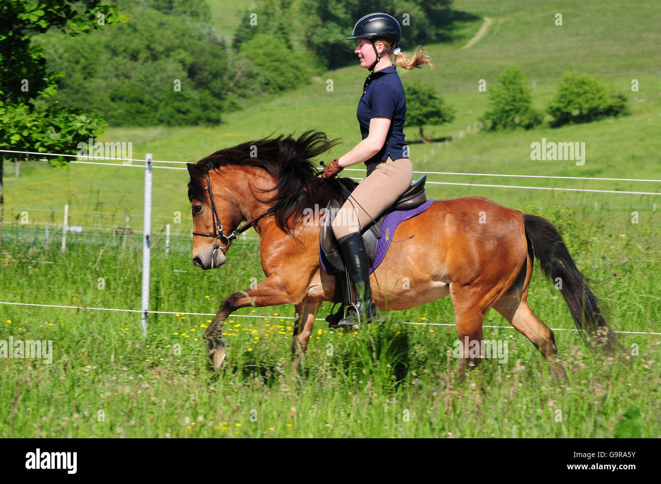 Woman riding pony crash helmet hires stock photography and images Alamy