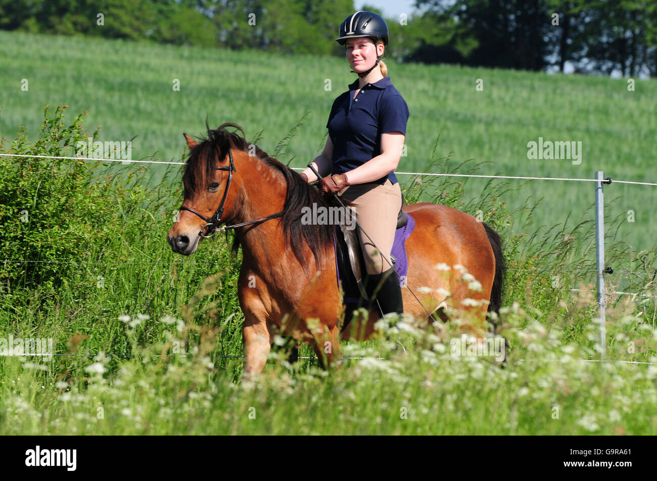 Woman riding Pony / crash helmet, riding gear, tack Stock Photo