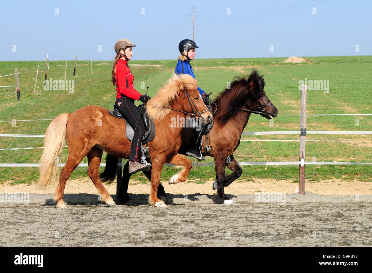 Riders with Icelandic Horses, toelt Stock Photo