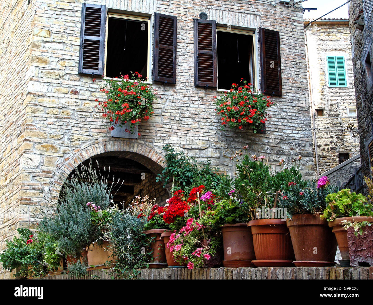 Home various flowers in pots. Design Italian courtyards Stock Photo