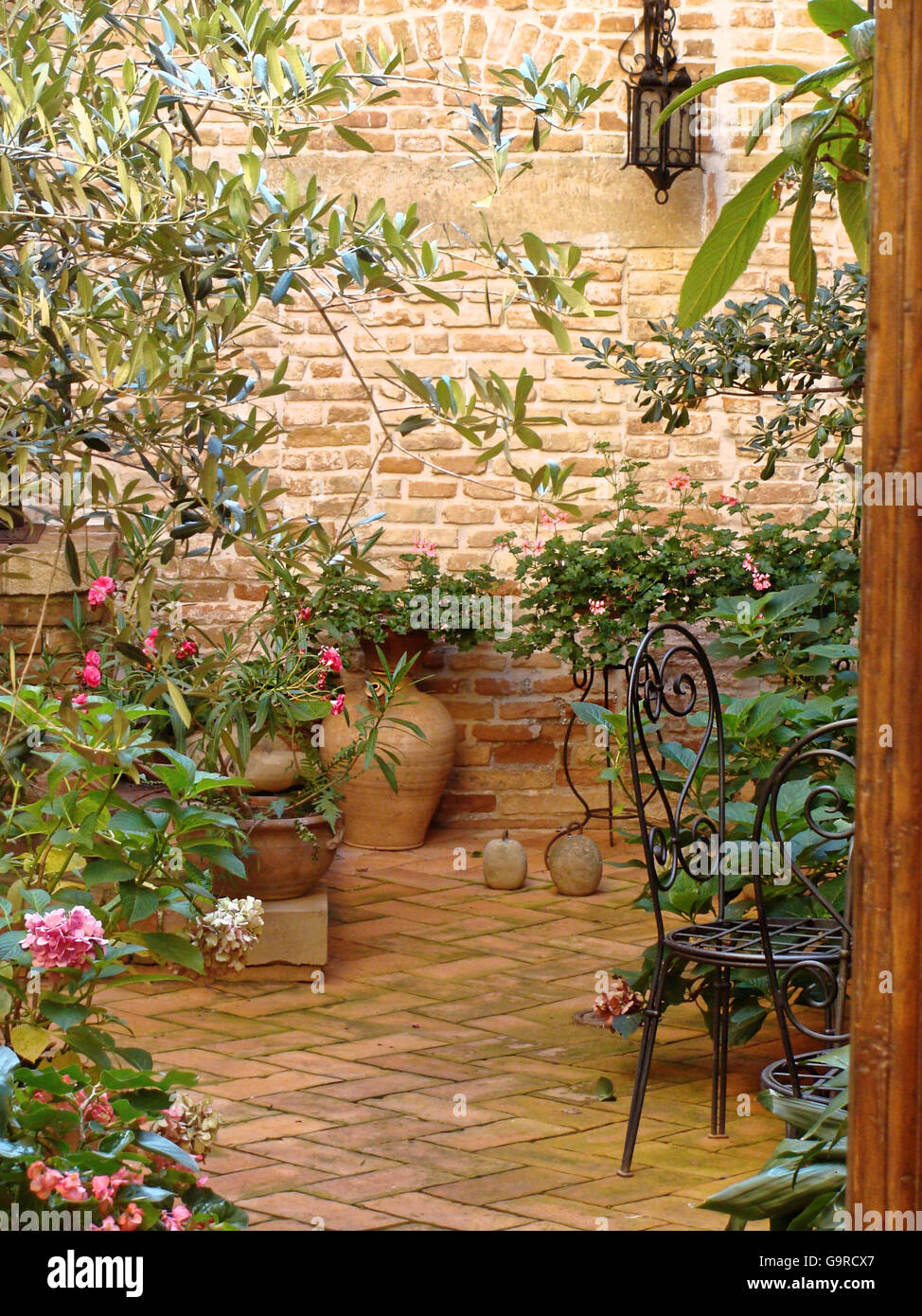 Home various flowers in pots. Design Italian courtyards Stock Photo Alamy
