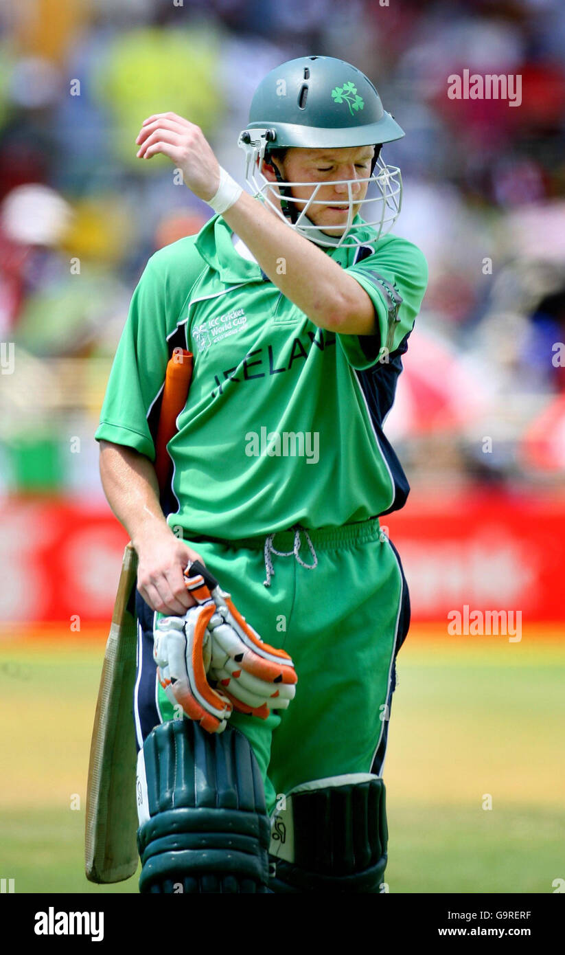 Irish batsman Niall O'Brien leaves the field after losing his wicket to Ian Bradshaw during the