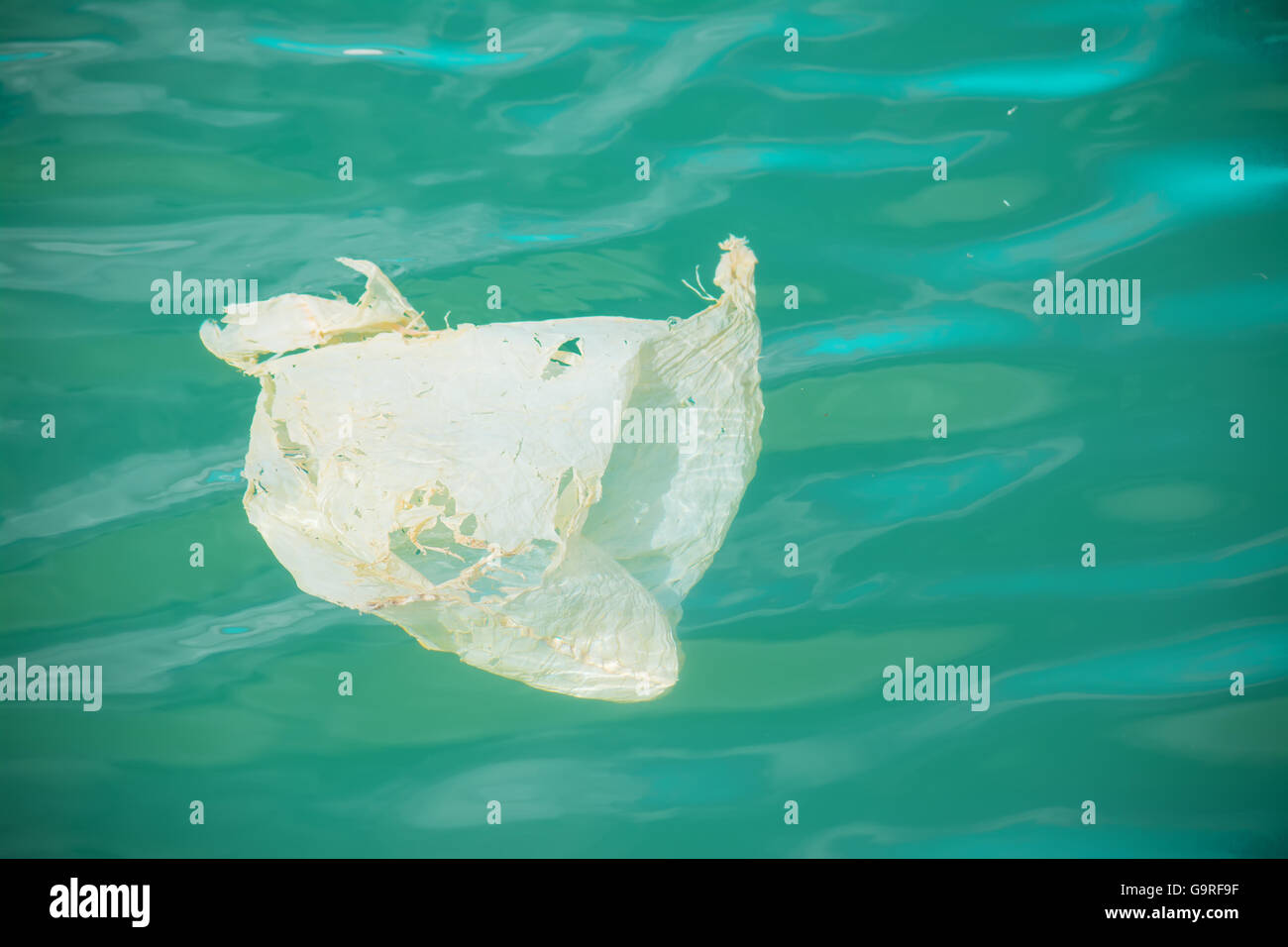 white plastic bag floating in the sea Stock Photo Alamy