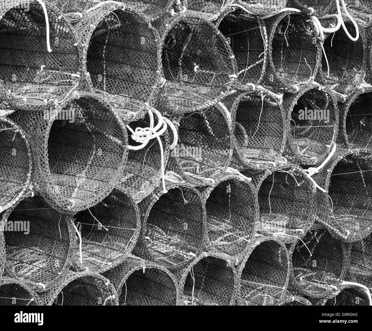 Catch sea fish close Black and White Stock Photos & Images - Alamy