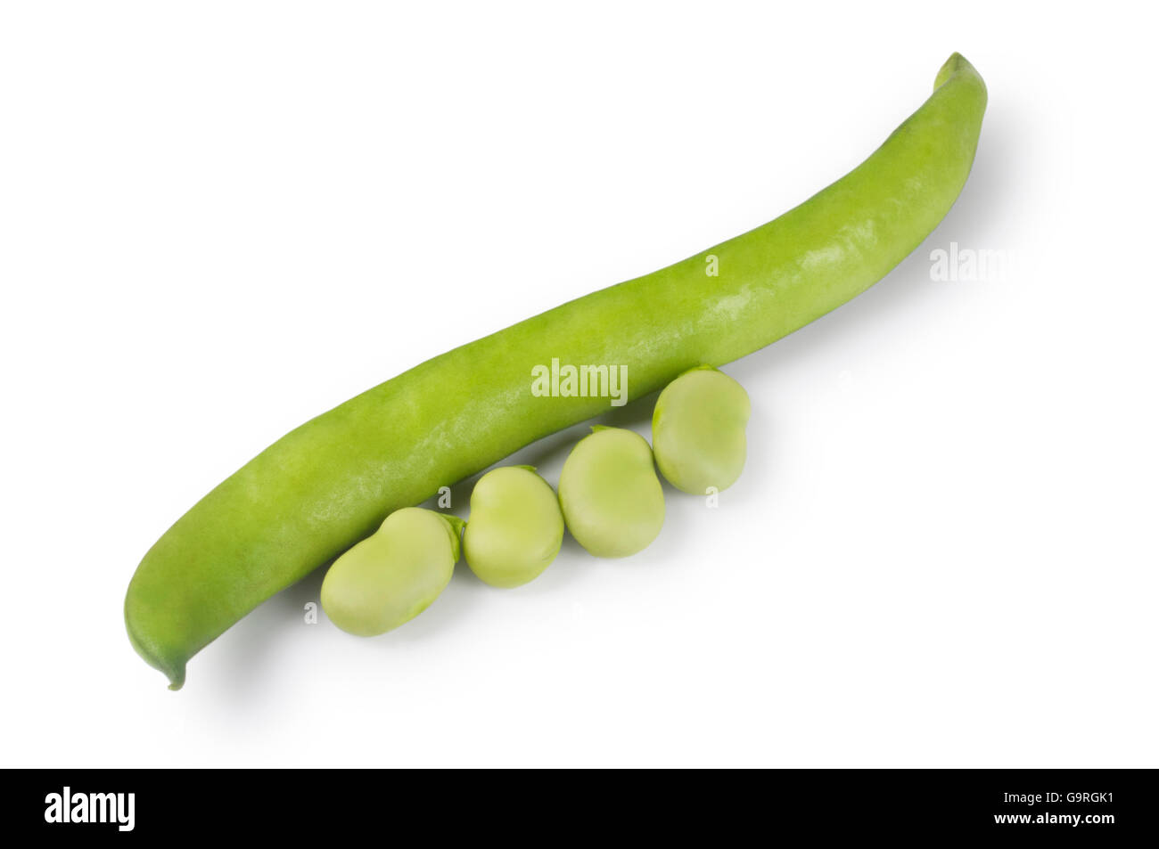 Broad Beans Stock Photo