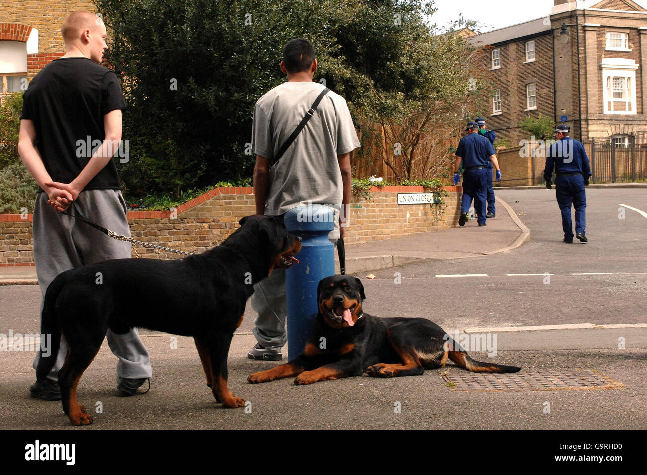 Members of the public watch scenes of crime officers near Gean Court
