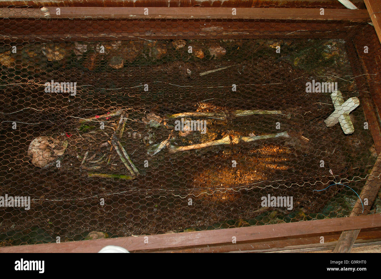 Skeleton, Graveyard, La Isabella, Dominican Republic, Caribbean, Las Americas Stock Photo