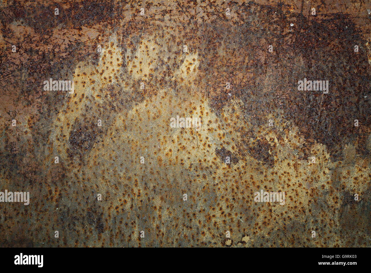 traces left by brown bear on rusty metal door ( Ursus arctos ) Stock Photo
