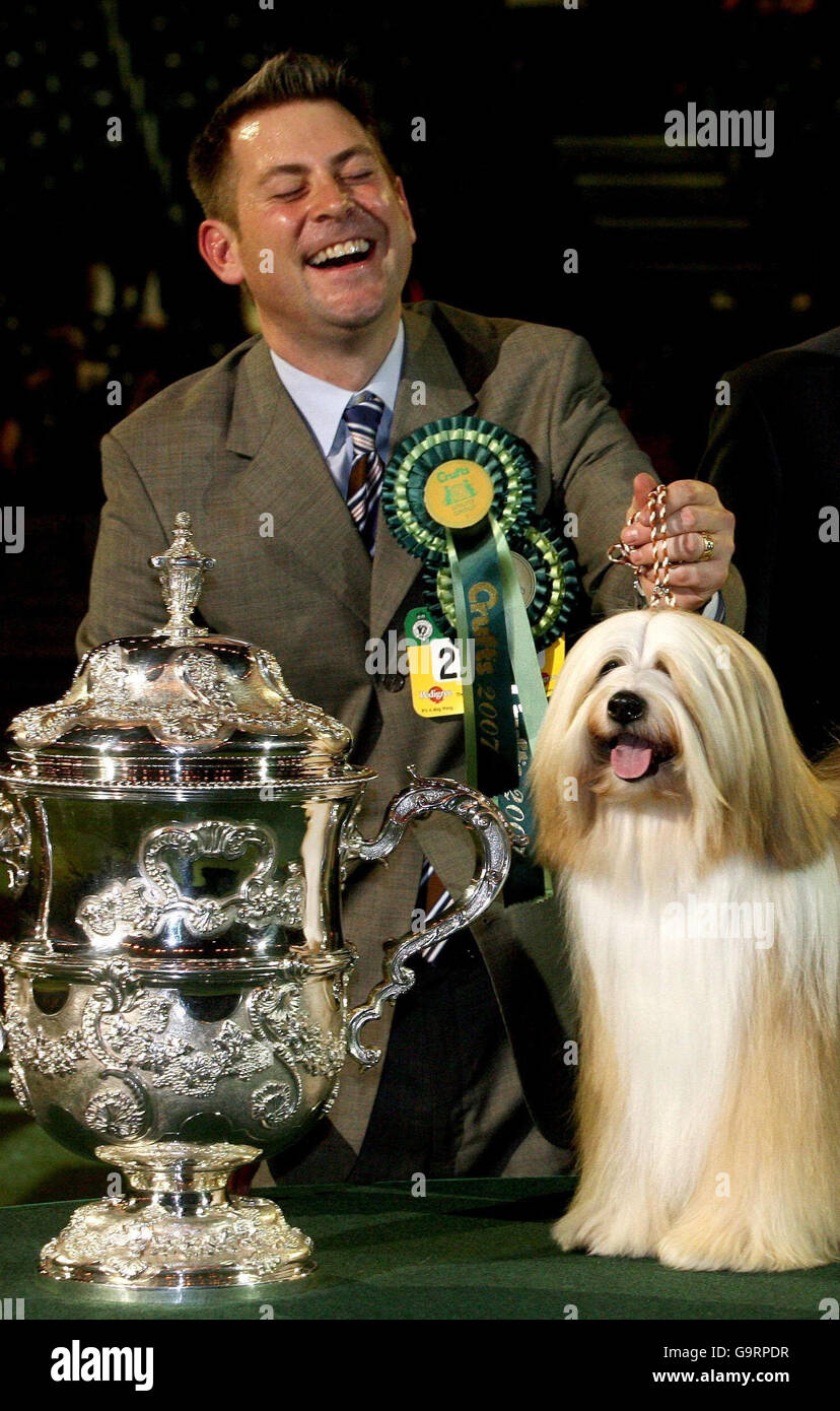 A Tibetan Terrier named Willy with his handler Larry Cornelius after being named Best in Show at this years Crufts at the NEC in Birmingham. Stock Photo