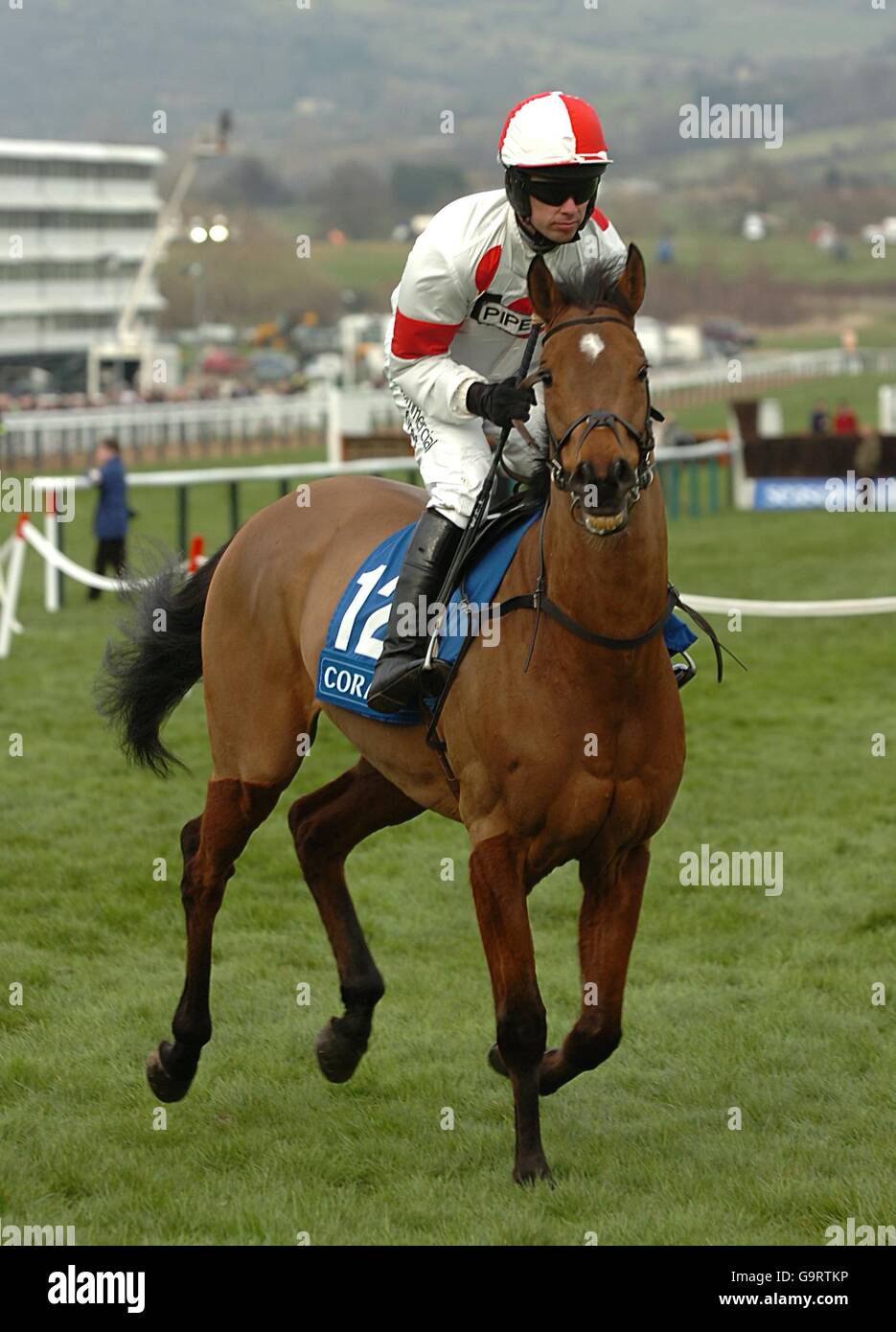 Horse Racing - Cheltenham Festival - Cheltenham Racecourse Stock Photo ...