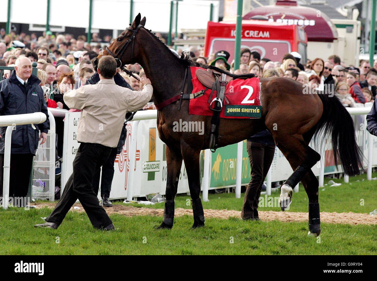 Previously unissued photo of Nil Desperandum being led from the race track after breaking a leg during the John Smiths Midlands Grand National Steeple Chase at Uttoxeter Racecourse. Stock Photo