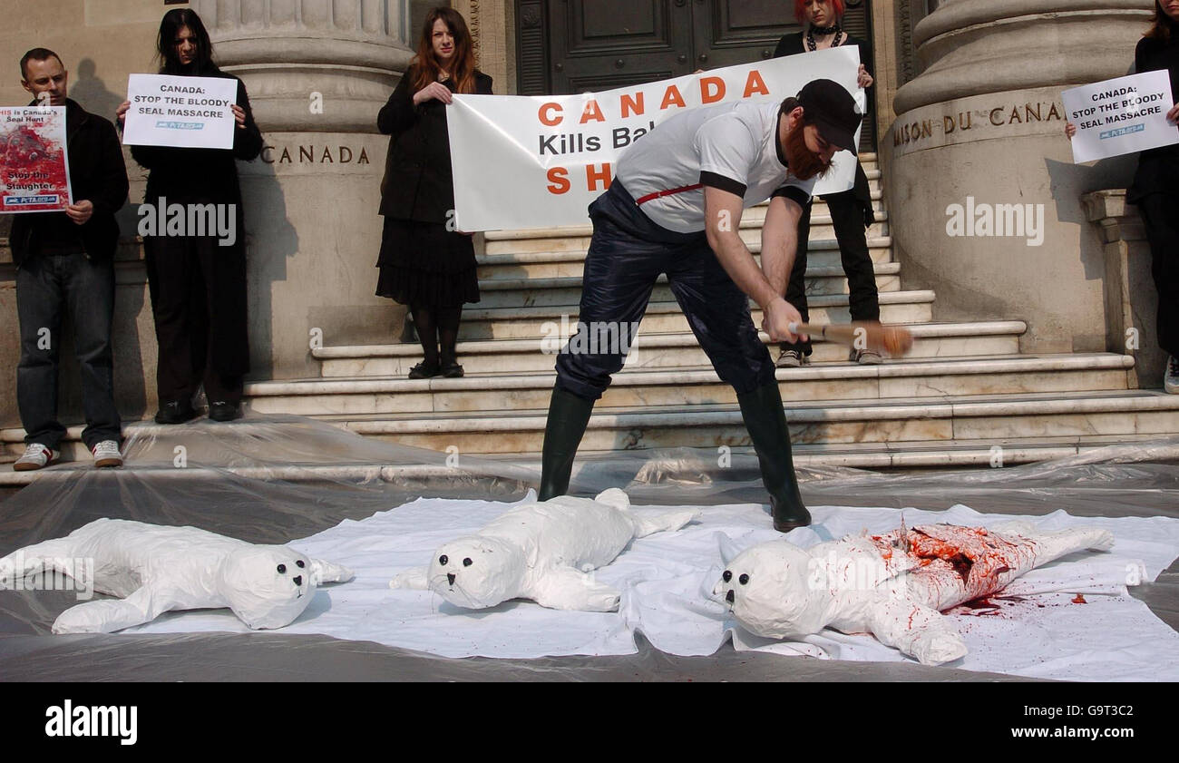 Members of the animal welfare group PETA stage a protest outside the Canadian embassy in London, before the start of the annual seal hunt in Newfoundland. Stock Photo