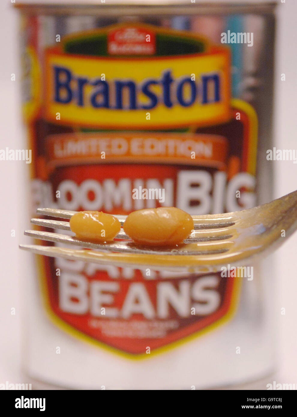 A Branston supersize bean compared to a normal Heinz Bake Bean Stock