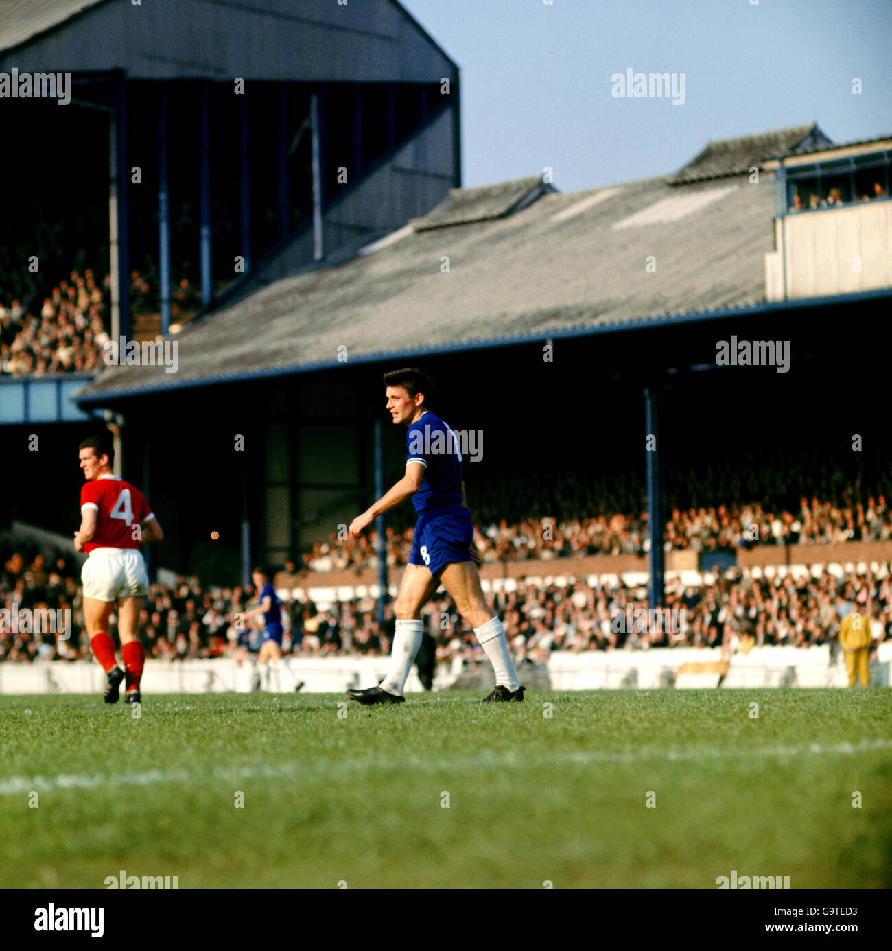 Image result for bobbly tambling chelsea