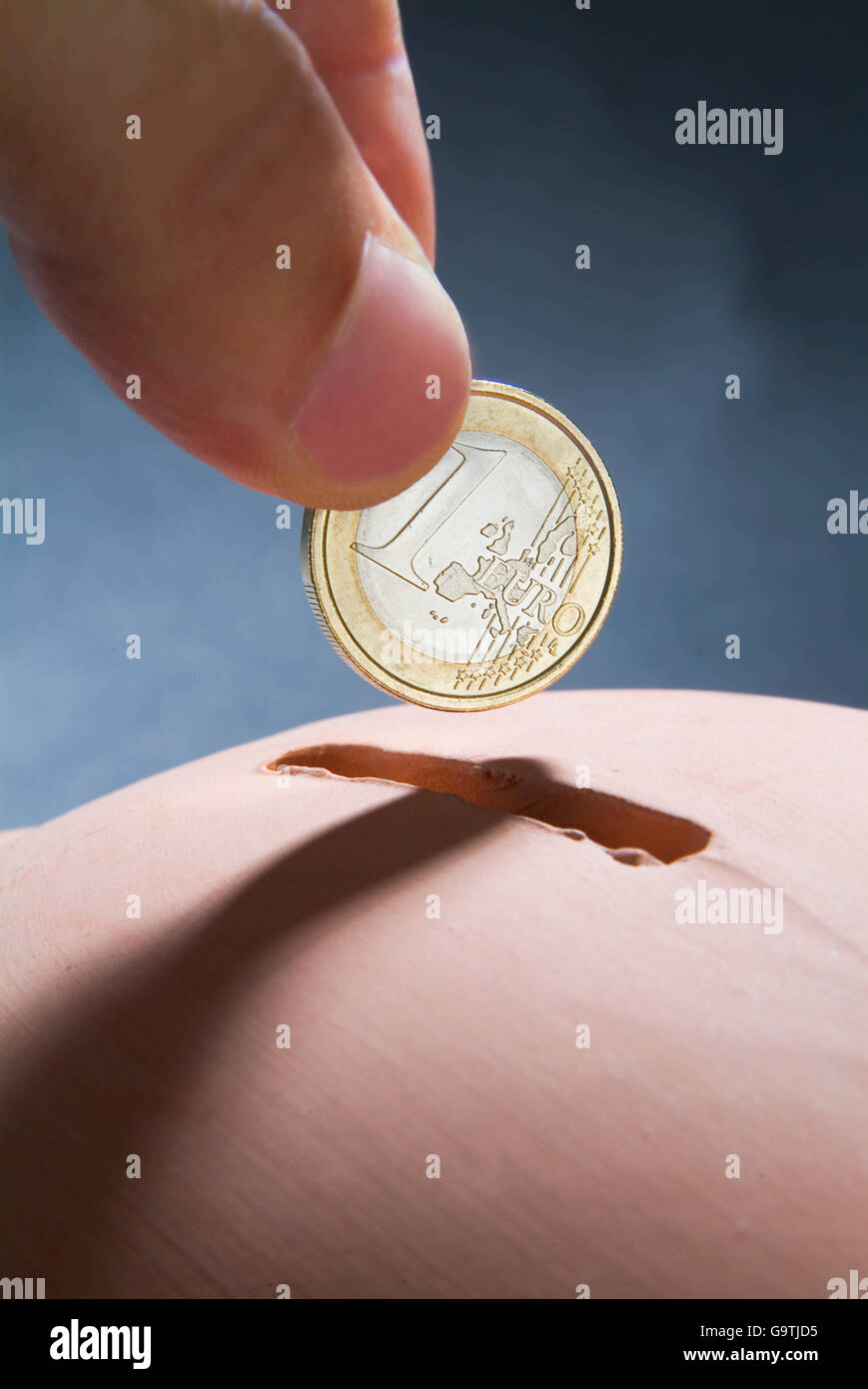 Two fingers clutching a one euro coin to insert it into the slot of a piggy bank Stock Photo