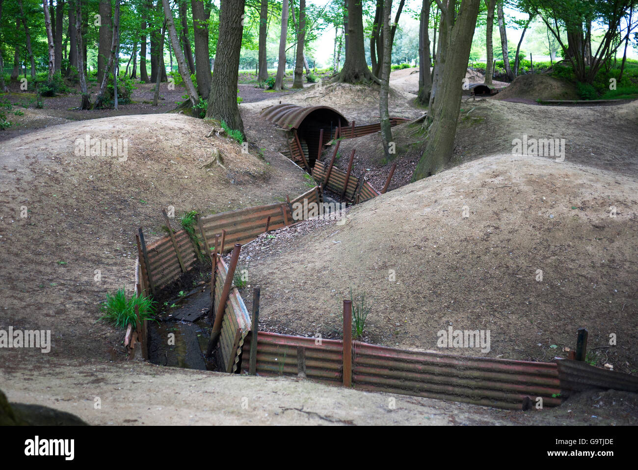 First World War trenches at Sanctuary Wood in Belgium. Stock Photo