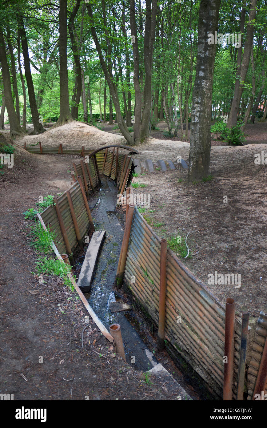 First World War trenches at Sanctuary Wood in Belgium. Stock Photo