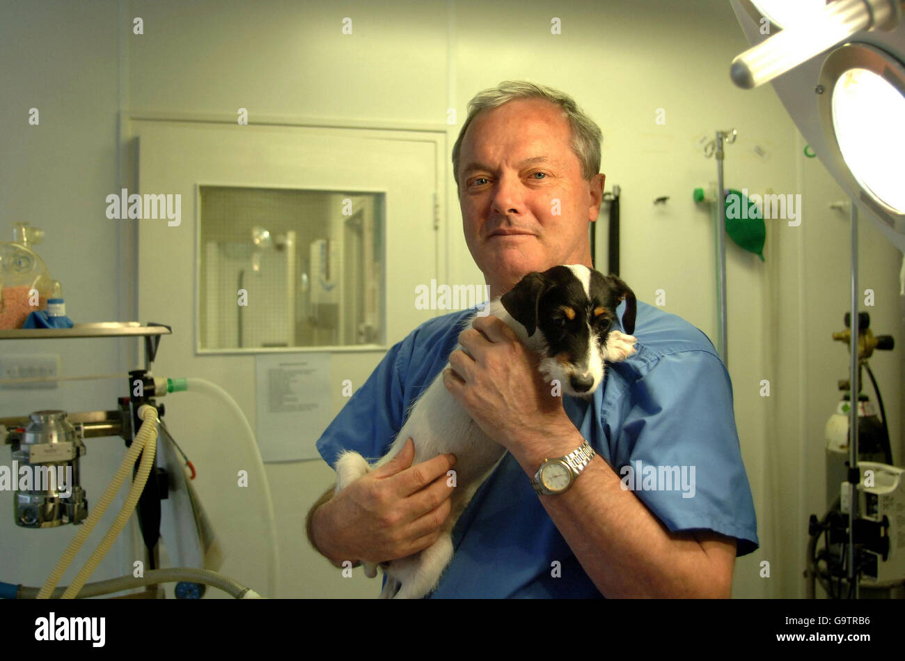 Television vet David Grant, who features in the programme 'Animal Hospital,'  pictured with a dog at Harmsworth Memorial Animal Hospital in north London  as the Animal Welfare Act is launched today Stock