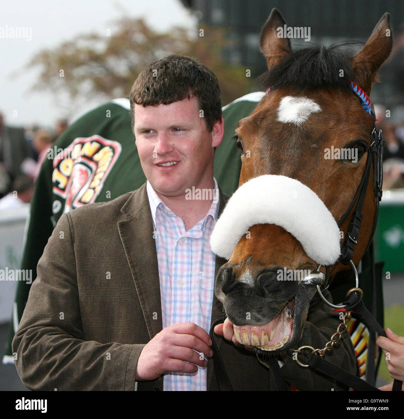 Gordon elliott trainer hires stock photography and images Alamy