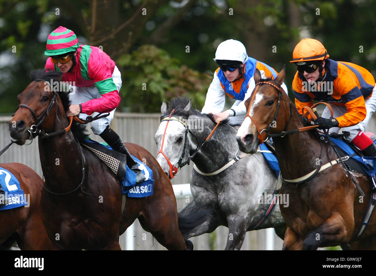 Classic Encounter ridden by Richard Hughes, Pic Up Sticks ridden by Richard Kingscote and Handsome Cross ridden by Adrian Nicholls in The Get Exclusive Live Show Prices At Bluesq.com Stakes Stock Photo
