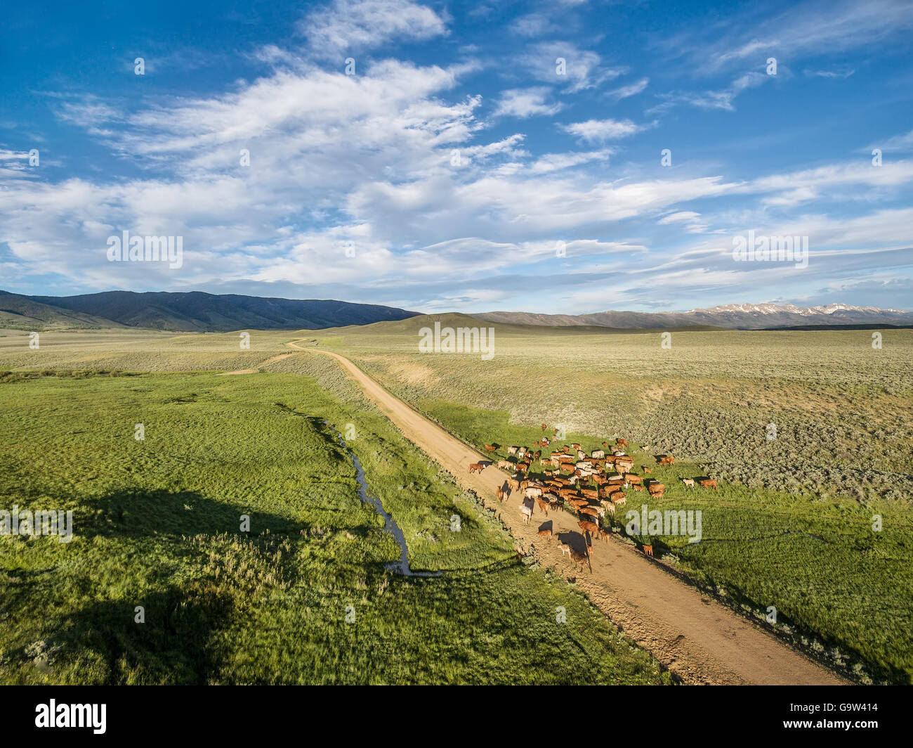 Cattle ranch aerial hi-res stock photography and images - Alamy