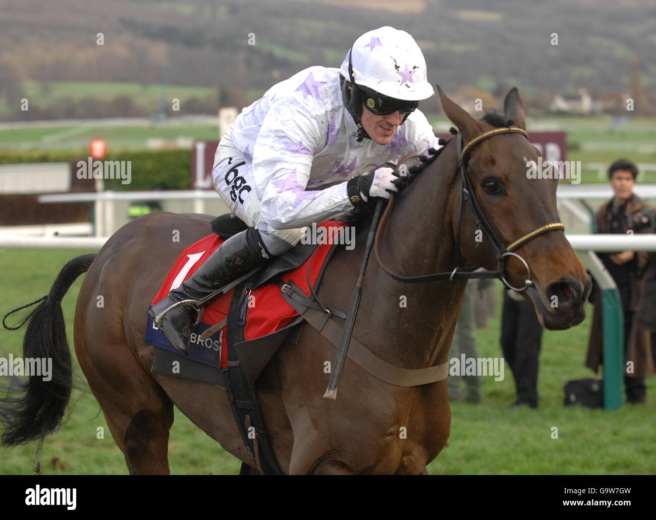 Horse Racing - Festival Trials Day - Cheltenham Stock Photo