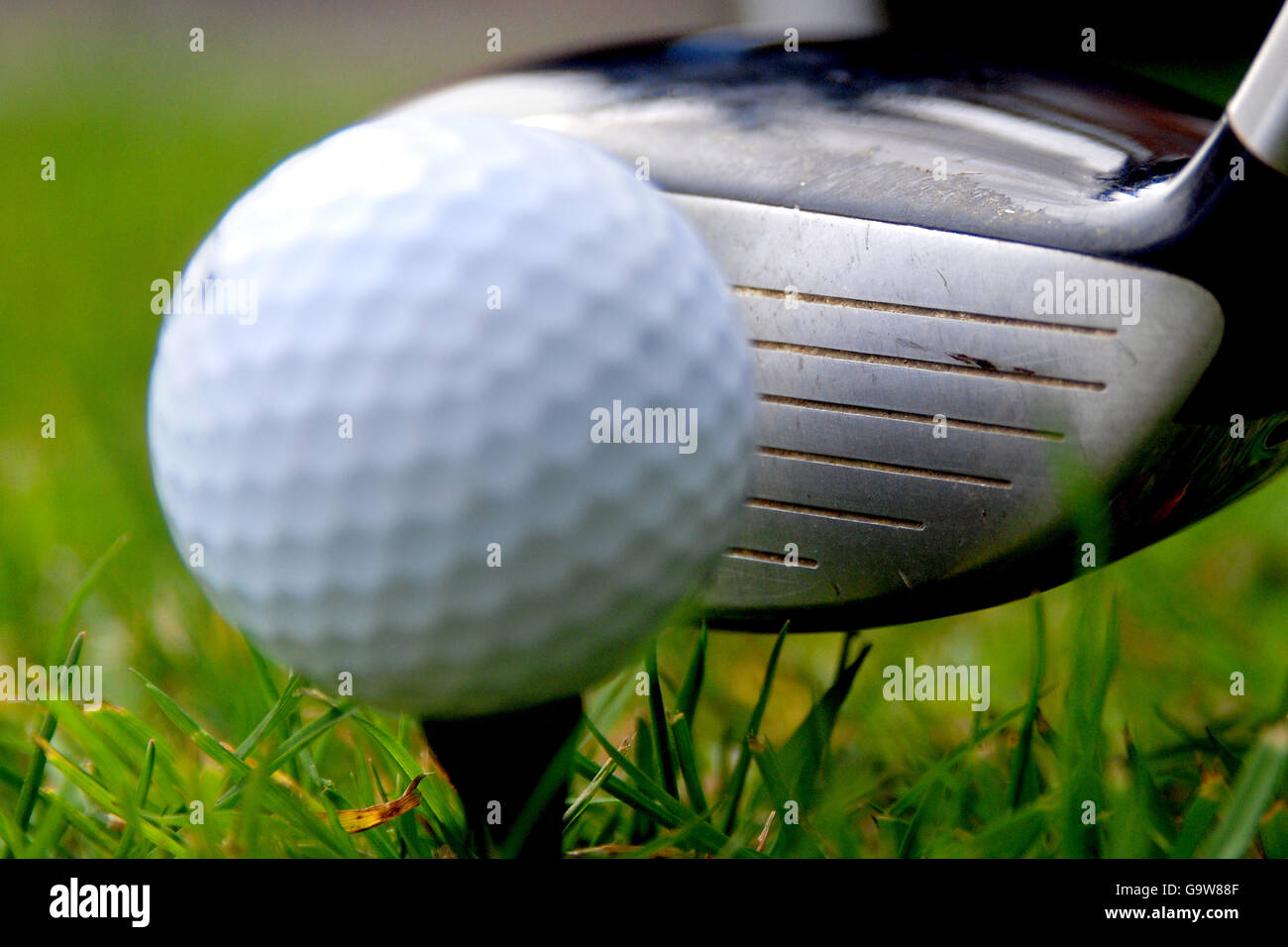 Golf. Golf club Stock Photo
