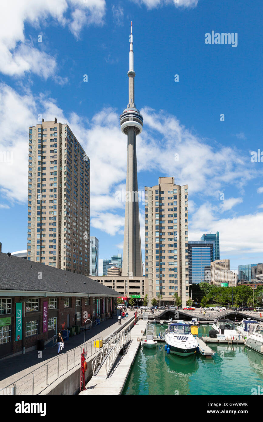 The Toronto skyline with CN tower in clear view Stock Photo - Alamy