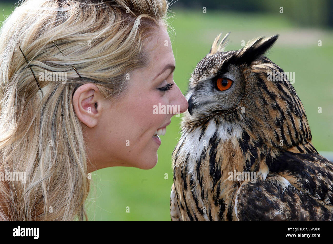 Balmoral agricultural show Stock Photo