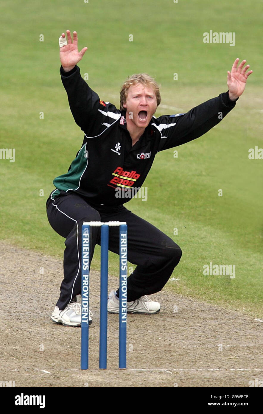 Worcestershire's Gareth Batty appeals during the Friends Provident Trophy Northern Conference match against Leicestershire at New Road, Worcester. Stock Photo