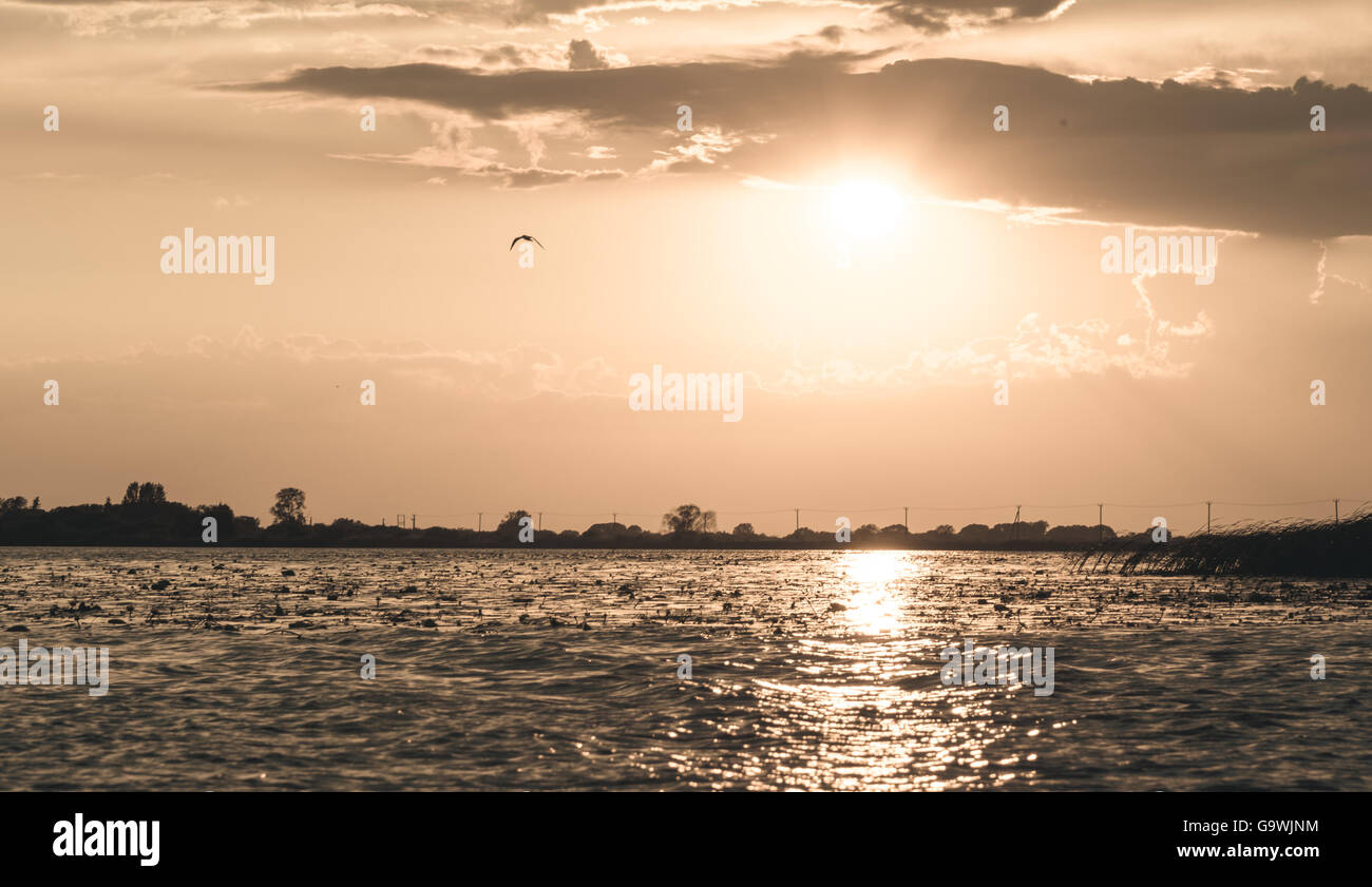 summer sunset on the lake after rain Stock Photo