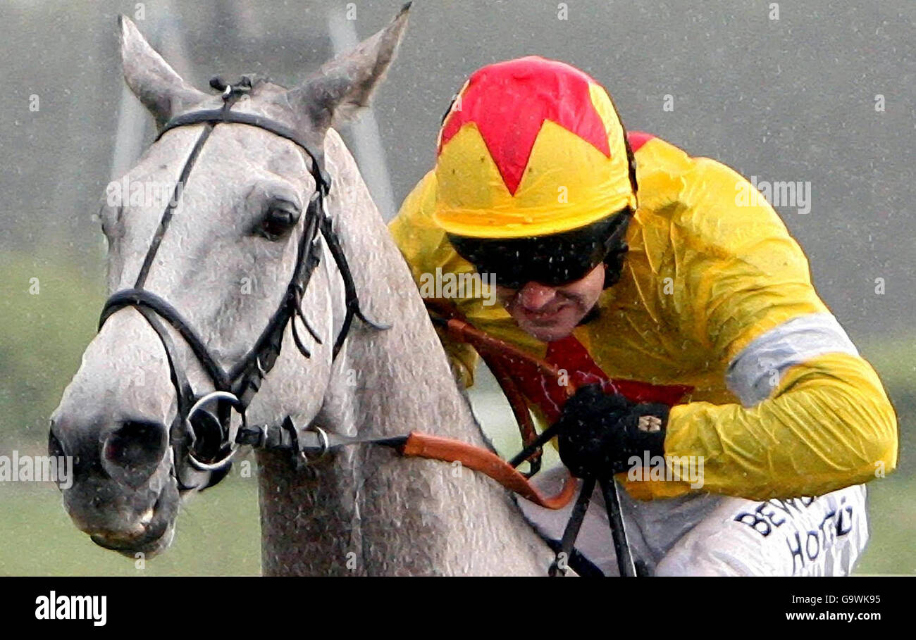 Ruby Walsh clears the last on Neptune Collonges to win the Guinnes Gold Cup at Punchestown Racecourse. Stock Photo
