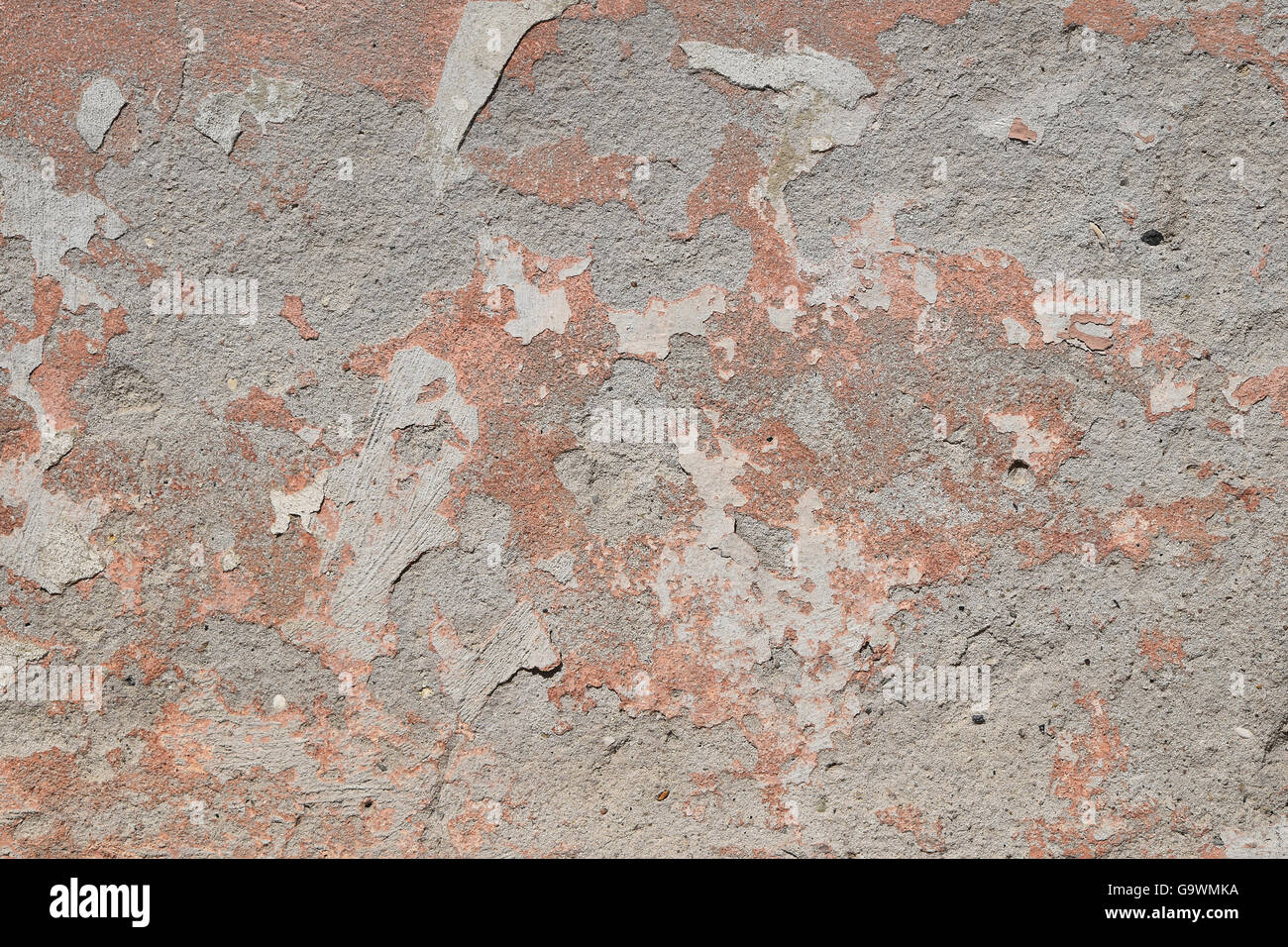 Background texture of old pink painted plaster gray cement wall with grunge stains and paint peeling Stock Photo