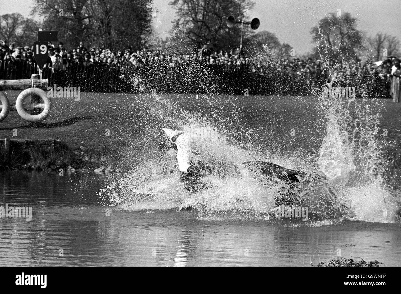 Princess Anne, falls from 'Stevie B' at the Badminton Horse Trials. Stock Photo