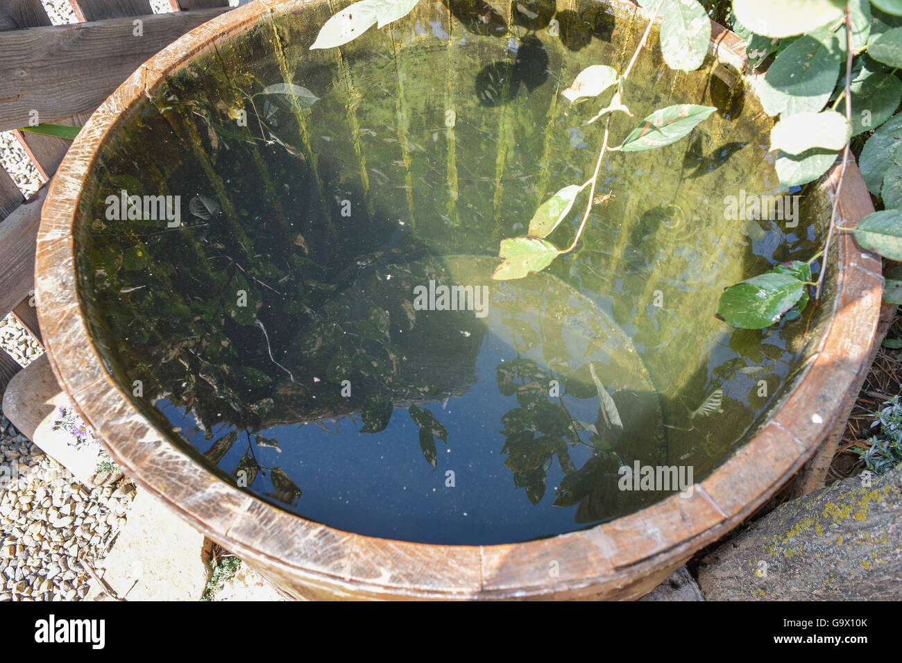 Wooden barrel filled with water. Storage in open water outdoors