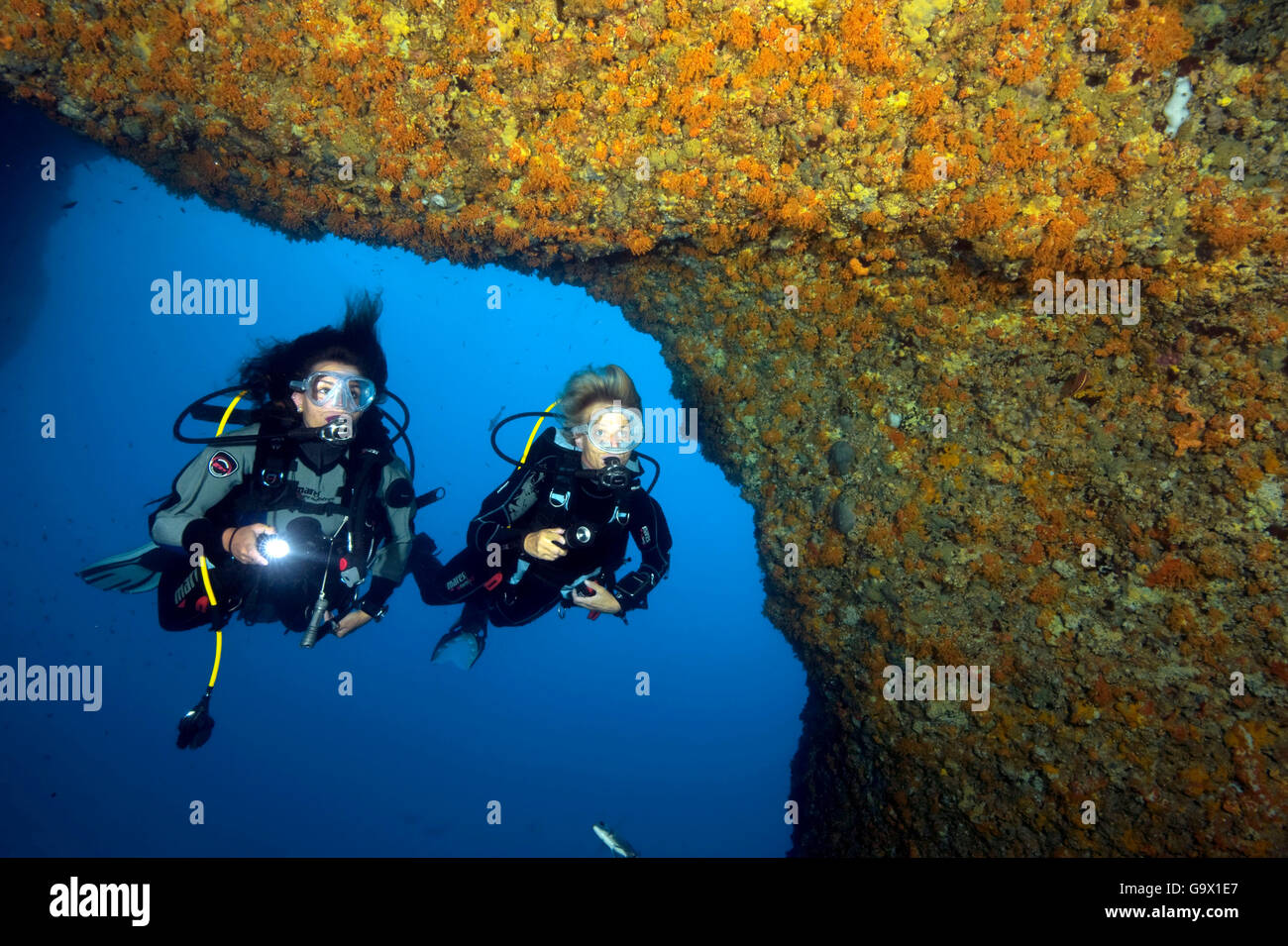 Diver Nero main image 0
