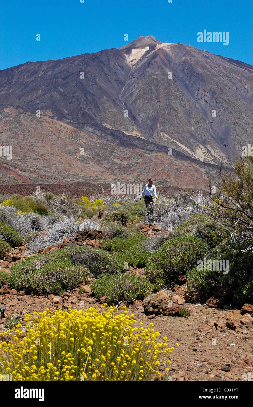 Teide high plateau, Tenerife, Spain, Canary Islands, Europe Stock Photo