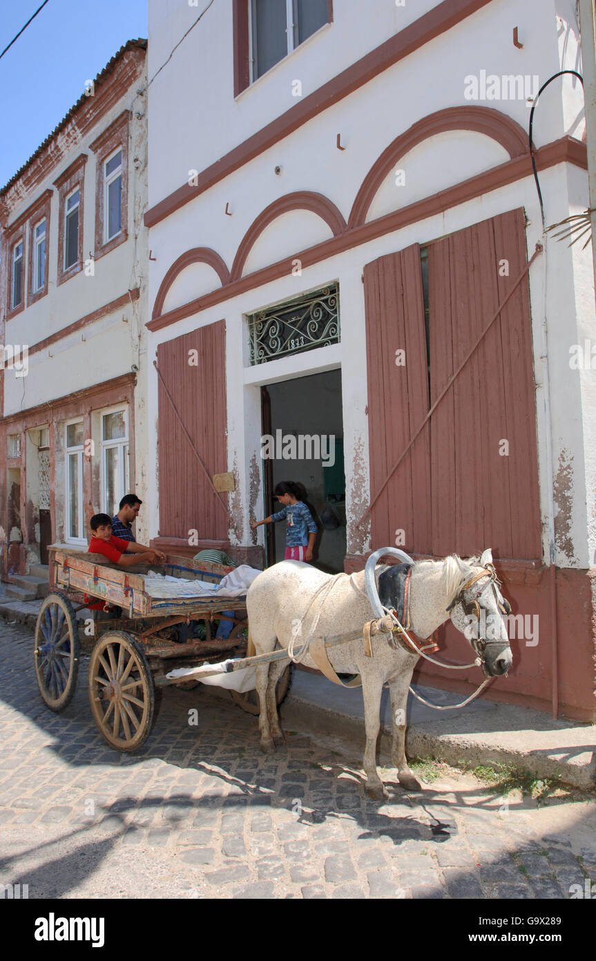 donkey cart, Ayvalik, Cunda, Balikesir, Turkey, Asia / Ayvalik Stock Photo