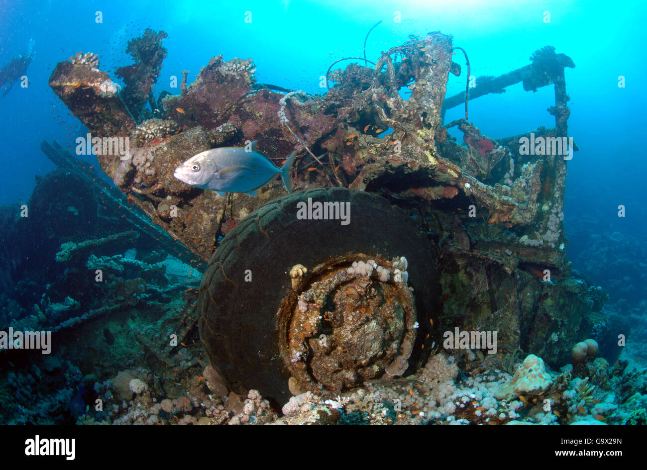 wreck of sunken Toyota lorry, van, car, Shaab Suedi Reef, Sudan, Africa, Red Sea Stock Photo