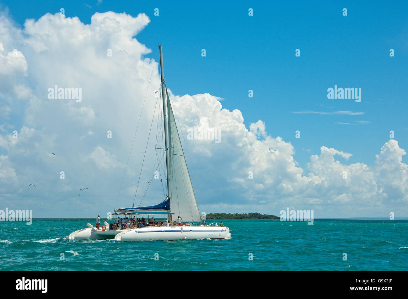 Catamaran off Cayo Blanco, Cuba, Caribbean, America Stock Photo