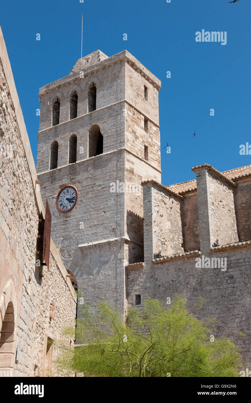 Dalt Vila, cathedral, Eivissa, Ibiza, balearic islands, Spain, Europe/ Ibiza Stock Photo