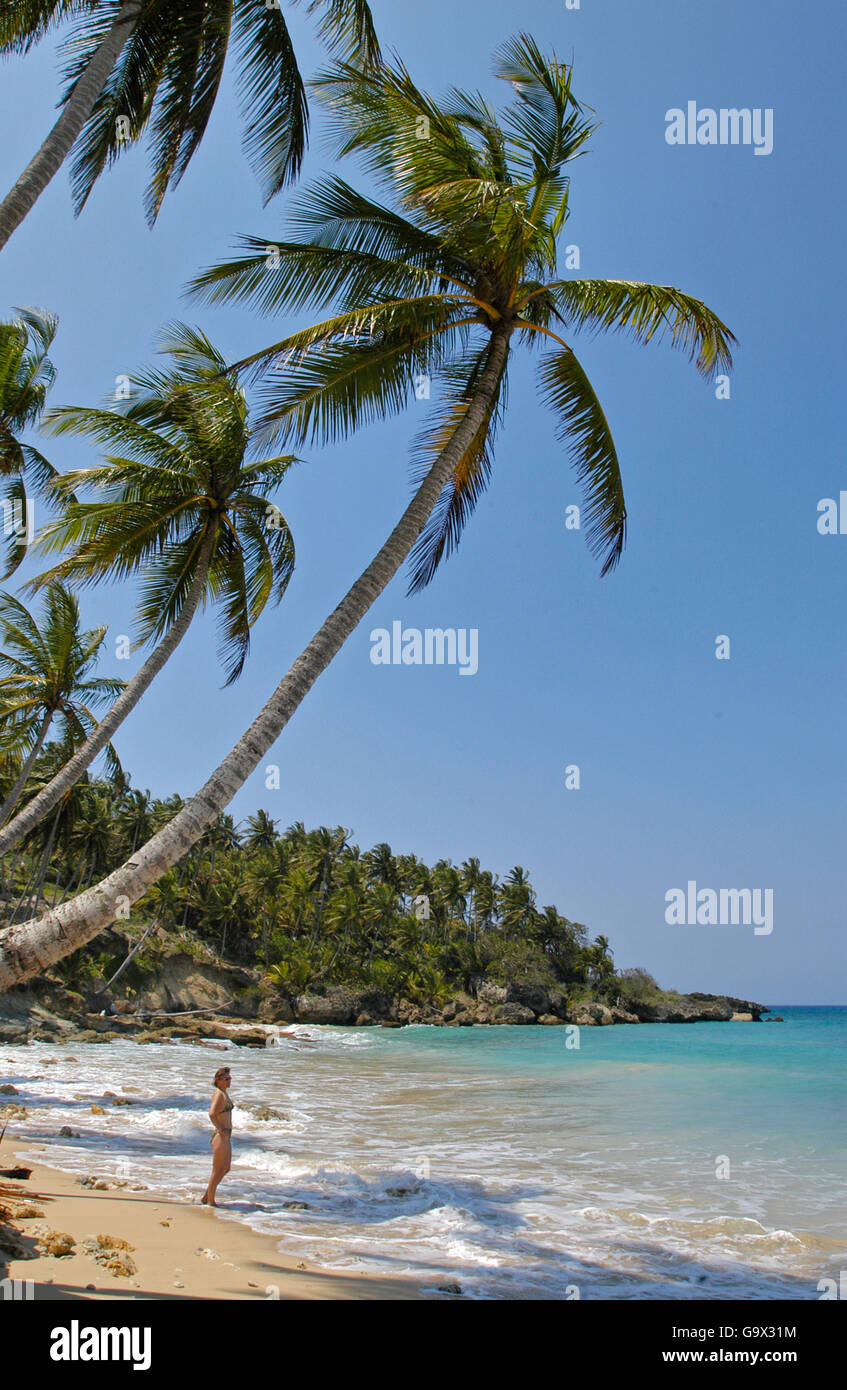 Woman at beach, north coast, island of Hispaniola, Sosua, Dominican Republic, Caribbean, America Stock Photo