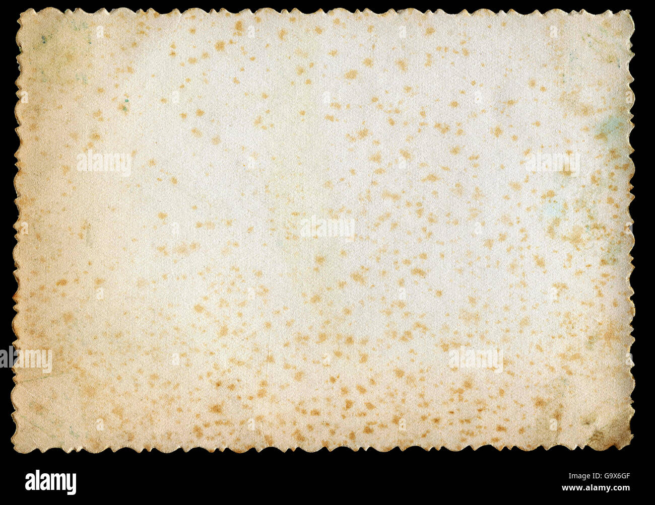 Reverse side of an old photo print with a decorative border Stock Photo Alamy