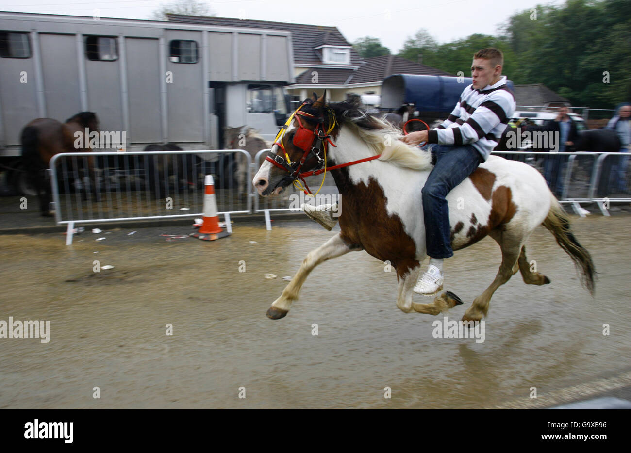 Wickham Horse Fair High Resolution Stock Photography and Images Alamy