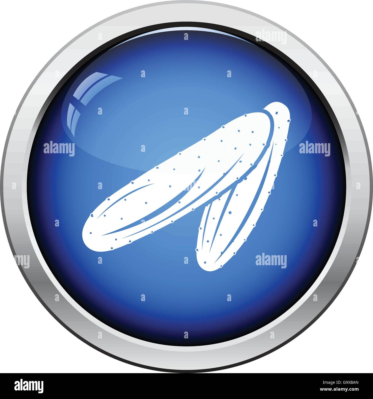 Cucumber icon. Glossy button design. Vector illustration Stock Vector ...