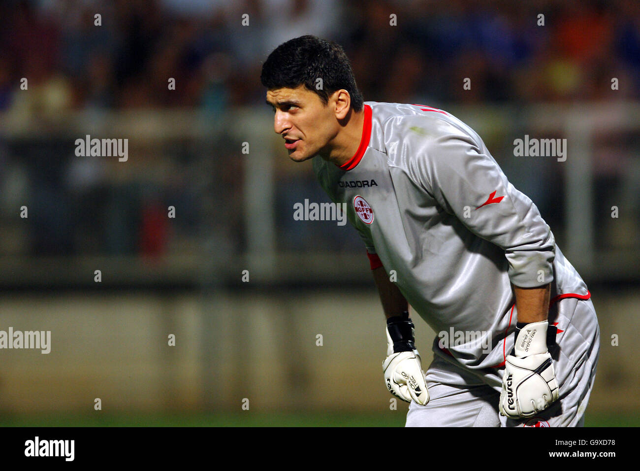 Soccer UEFA European Championship 2008 Qualifying Group B France